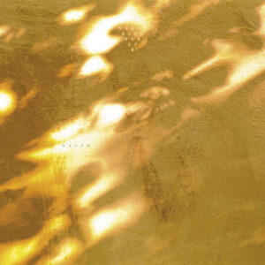Svaneborg Kardyb Album Coverart