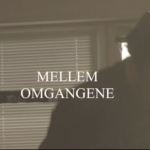 Mellem Omgangene